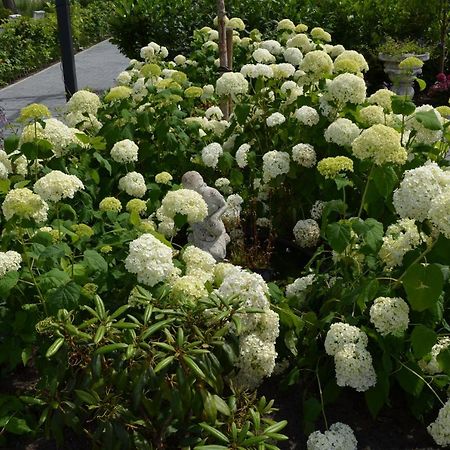 راونرفولد B&B “De Boerlarij” المظهر الخارجي الصورة